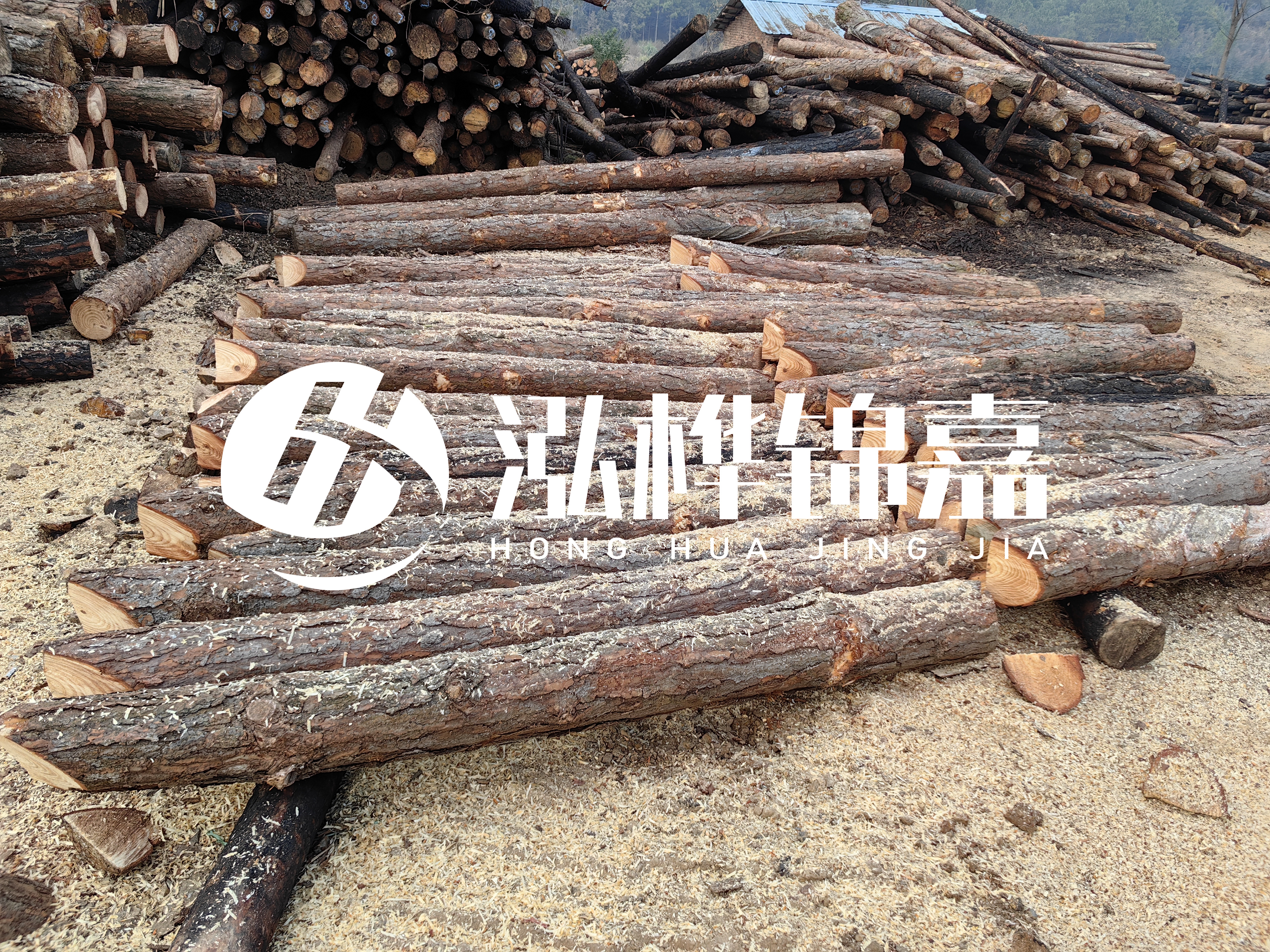 河道打樁木重復(fù)利用嗎？