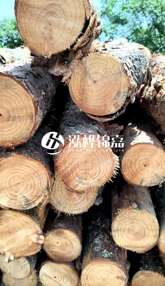 周口挖機(jī)打木樁專業(yè)施工-杉木樁施工打樁怎么打？