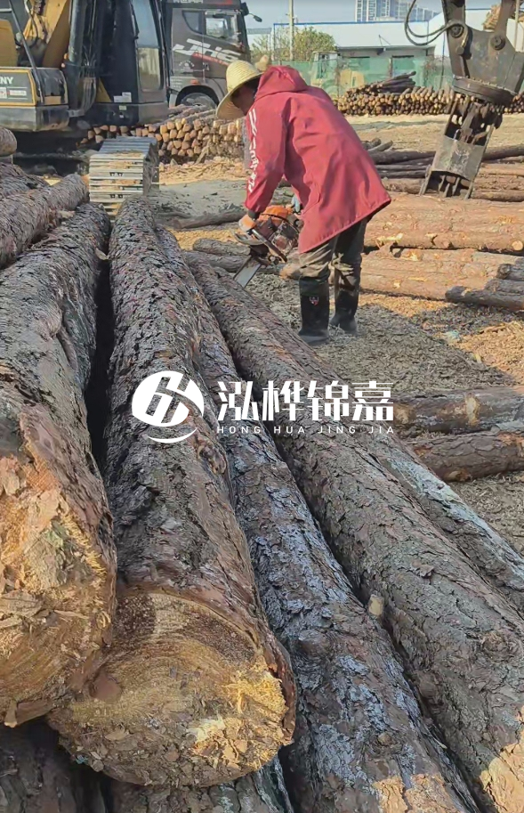長沙打樁木批發(fā)廠家在哪里？聯(lián)系方式是什么？