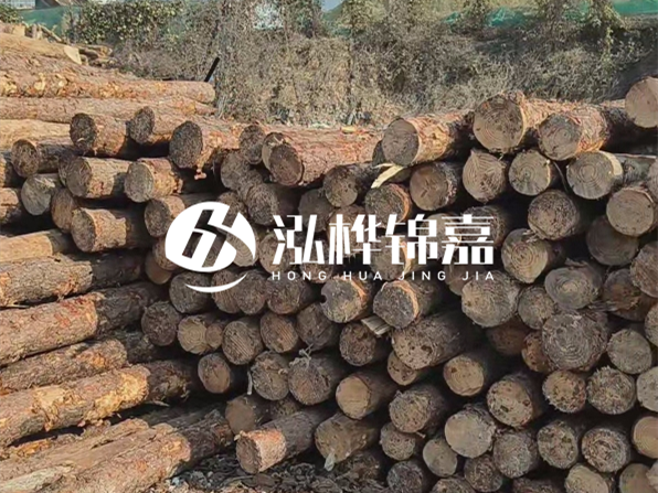 落葉松木材的主要產(chǎn)地在哪里？為什么比其他松木更耐腐蝕？
